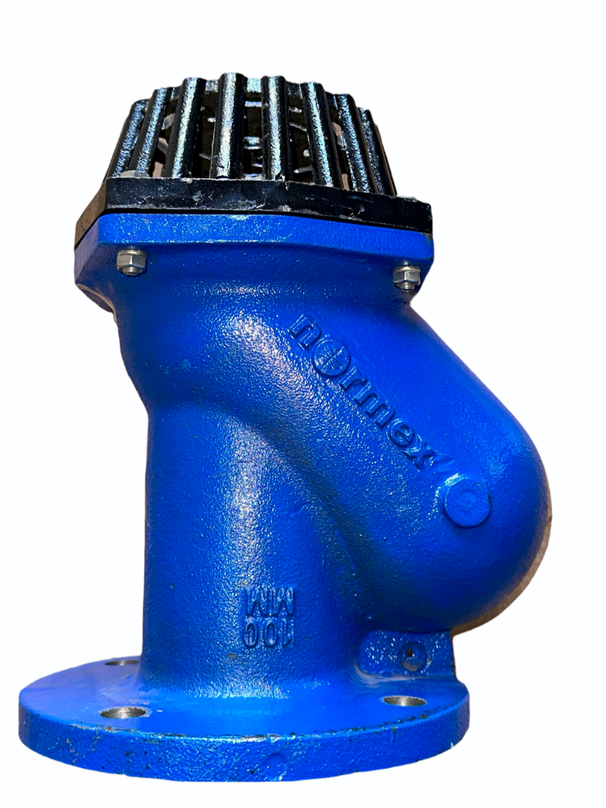 Normex Foot Valve
